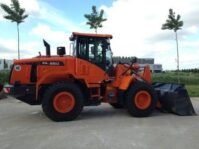 daewoo doosan dl250 3.jpg